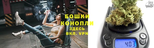 шишки Нея