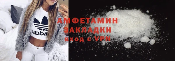 шишки Нея