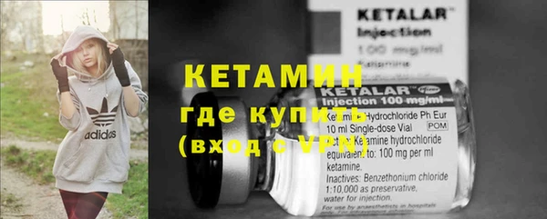 шишки Нея