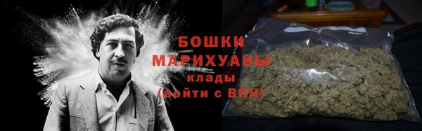 шишки Нея
