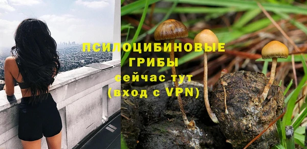шишки Нея