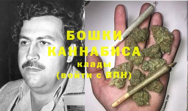 шишки Нея