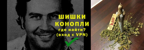 шишки Нея