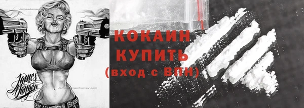 шишки Нея