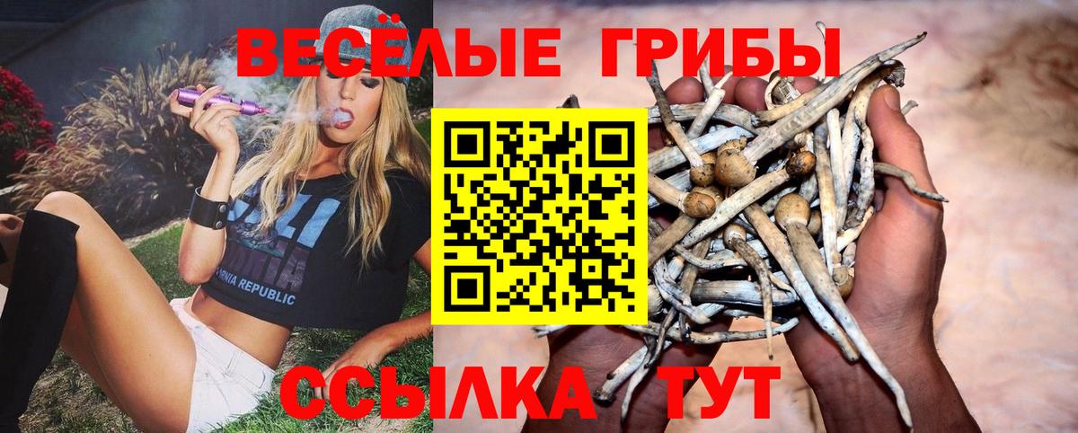 Псилоцибиновые грибы Psilocybine cubensis  Вход с VPN  Узловая 
